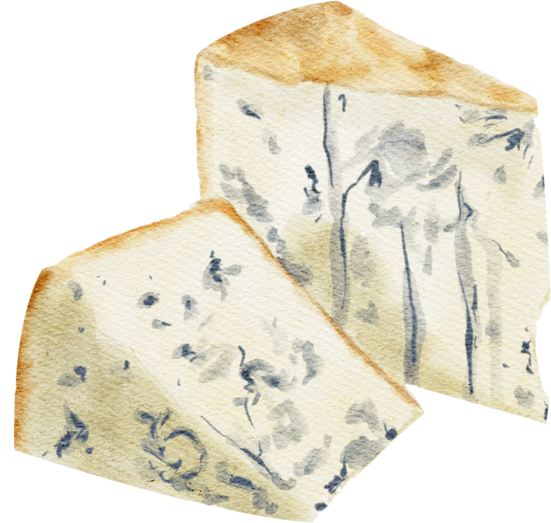 watercolor cheese