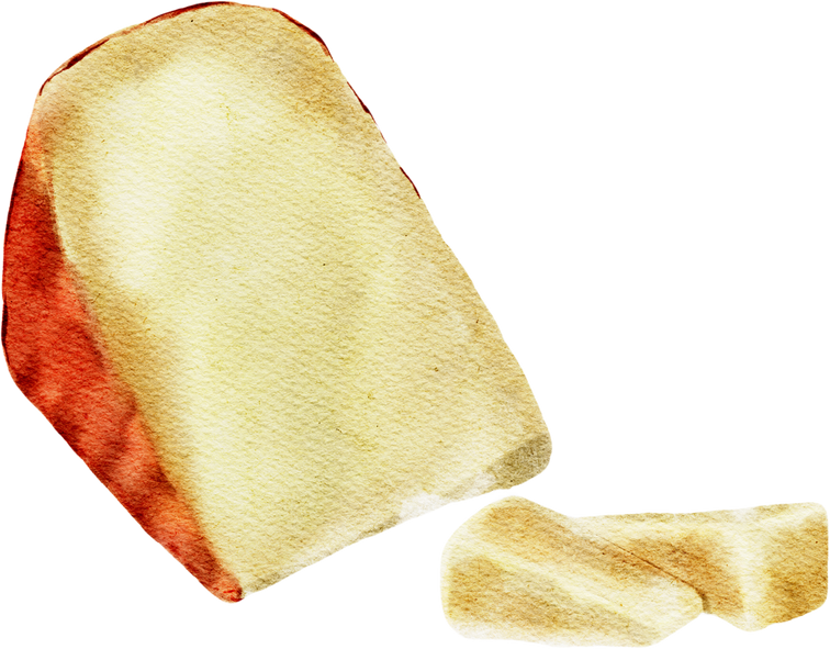 watercolor cheese