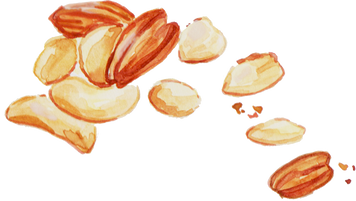 Handpainted Watercolor Mixed Nuts Christmas Snack